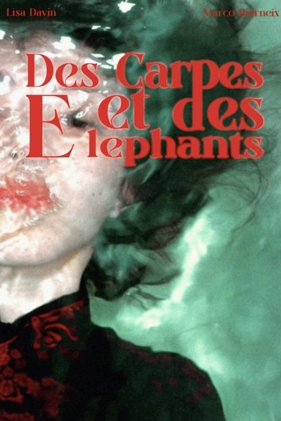 movie poster for Des Carpes et des Éléphants