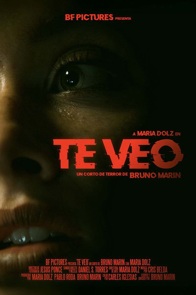 Poster do Filme Te Veo