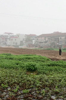 Poster do Filme Landscape Series #1