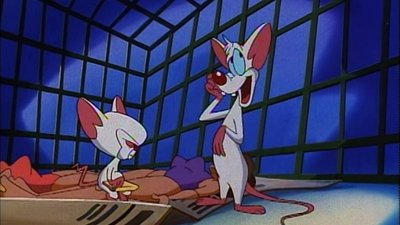 Pinky & The Fog