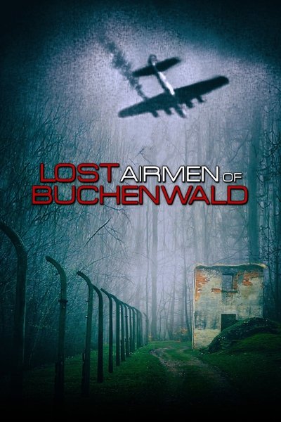 Poster do Filme Lost Airmen of Buchenwald