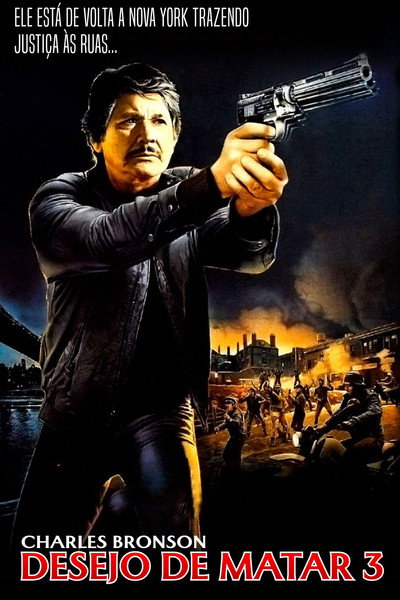 Poster do Filme Desejo de Matar 3