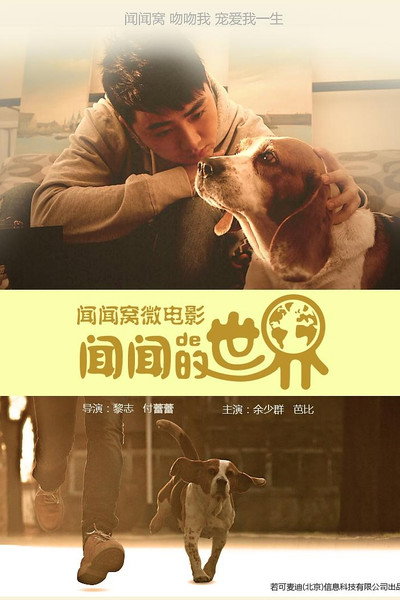闻闻的世界