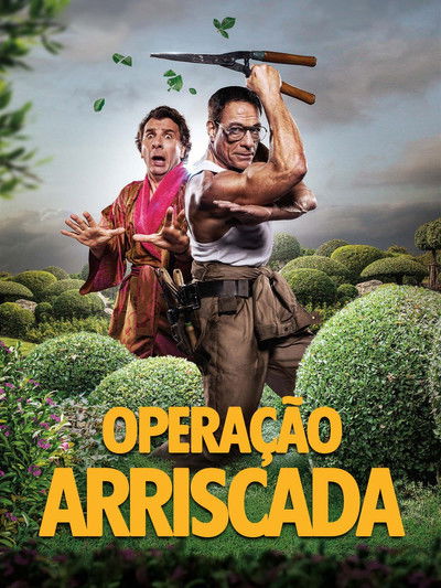 Poster do Filme Operação Arriscada