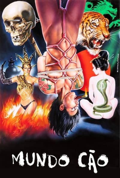 Poster do Filme Mundo Cão