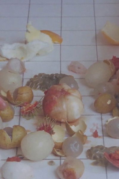 Poster do Filme Castle-Crystal