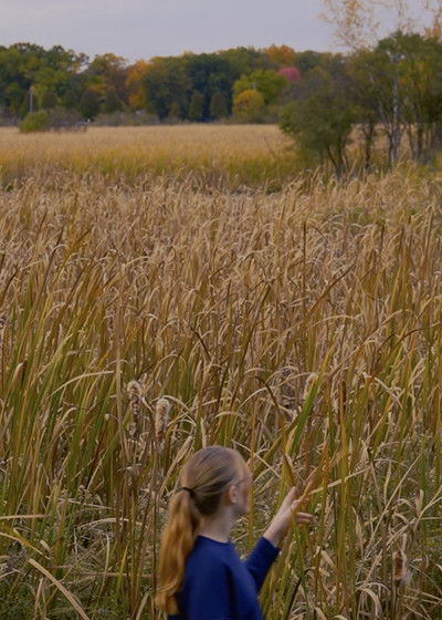 Poster do Filme Wheat and Chaff