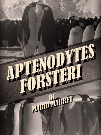 movie poster for Aptenodytes Forsteri