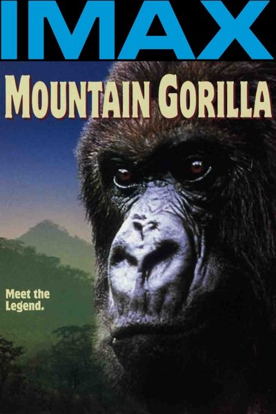 Poster for the movie Mountain Gorilla