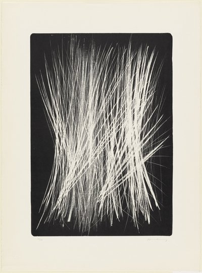 Poster do Filme Visite à Hans Hartung