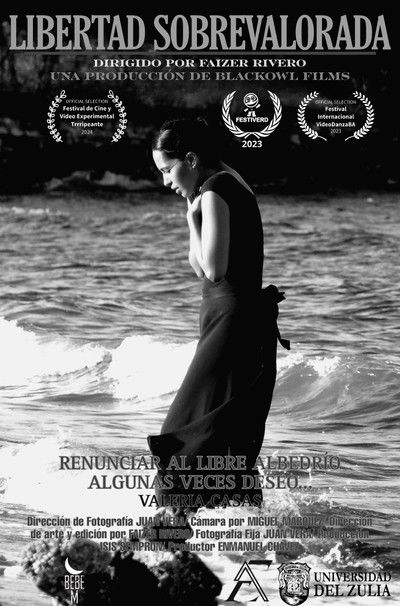 Poster do Filme Libertad Sobrevalorada