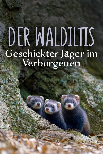 Poster do Filme Polecat – Europe’s Relentless Hunter