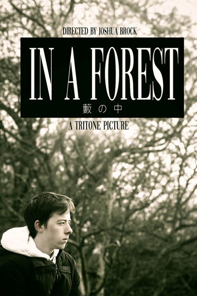 Poster do Filme In a Forest