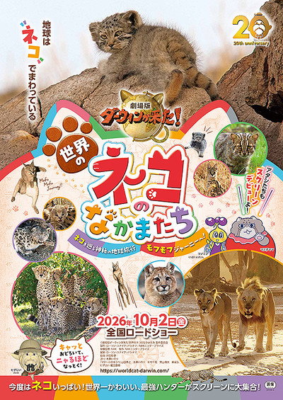 Darwin's Amazing Animals: Cats Around the World