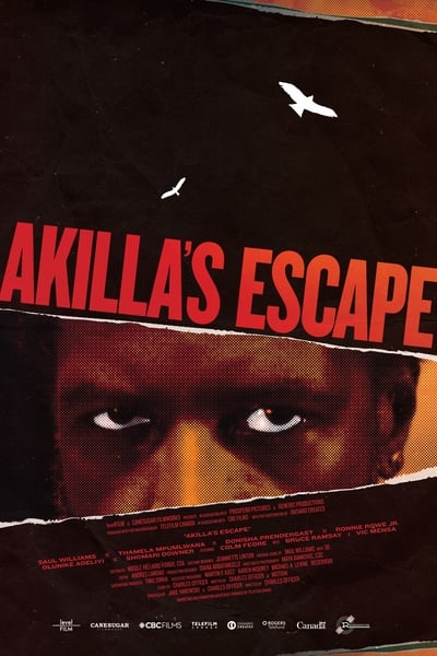 Akilla’s Escape (2020)