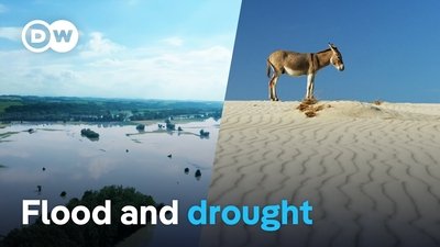 Water - Too much and not enough