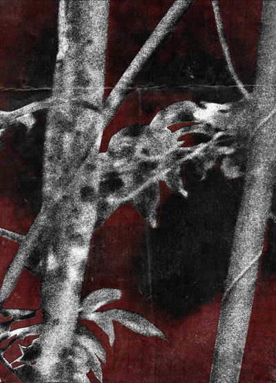 Poster do Filme Ruídos Do Cerne