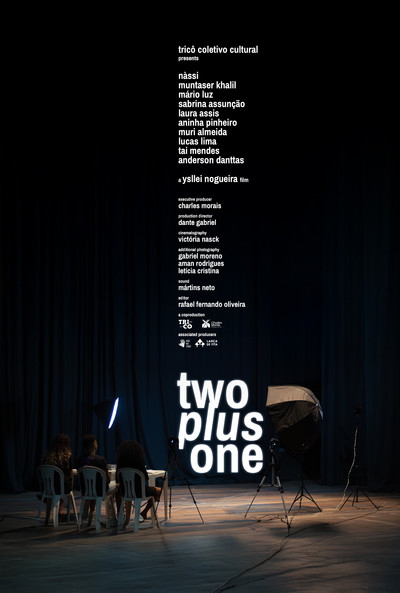 movie poster for 2plus1