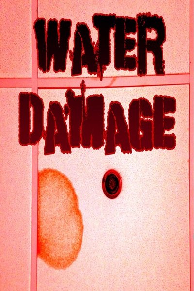 Poster do Filme Water Damage