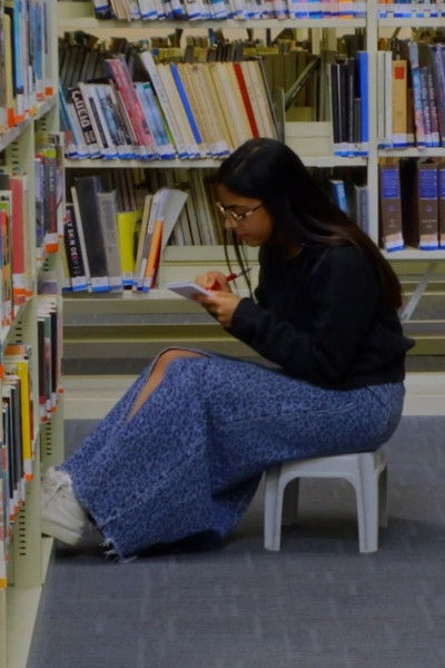 Poster do Filme The Painter