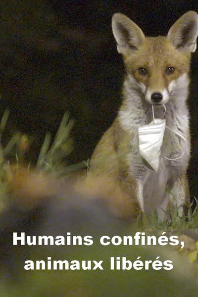 Poster do Filme Menschen eingesperrt, Tiere befreit