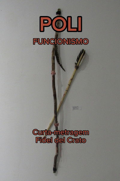 Poster do Filme Polifuncionismo