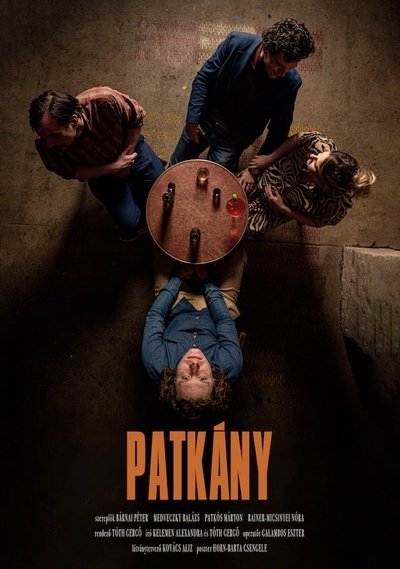 movie poster for Patkány