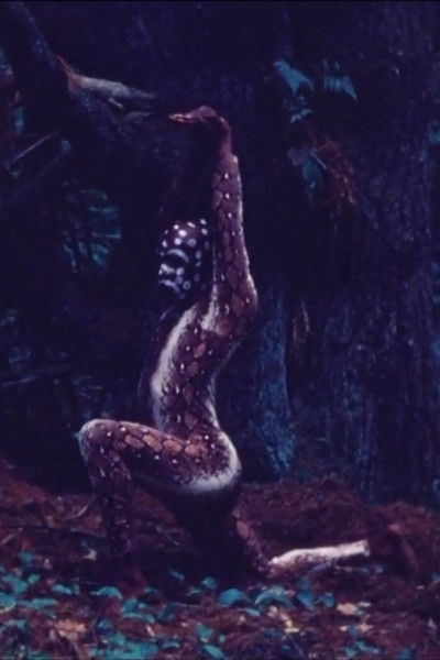 Poster do Filme Snake Dance Teacher Dance