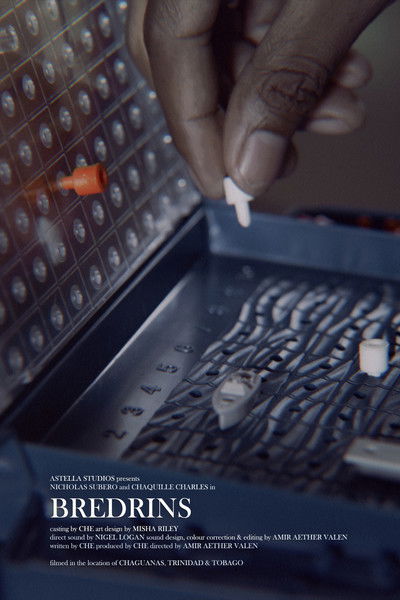 Poster do Filme Bredrins