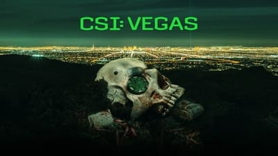 CSI: Vegas - Seizoen 2