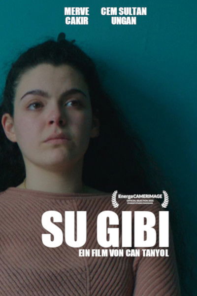 Poster do Filme Su Gibi