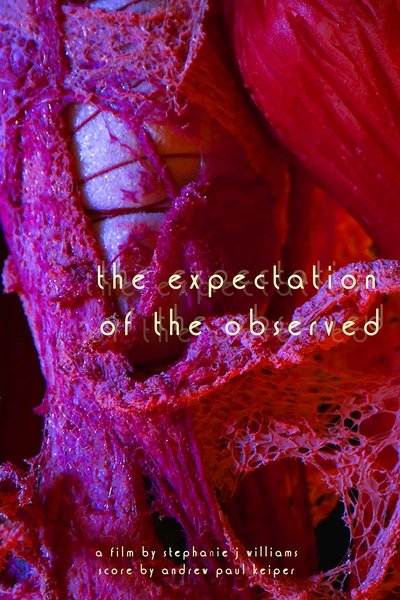 Poster do Filme The Expectation of the Observed