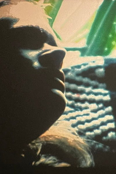 Poster do Filme Tortured Dust Part 2