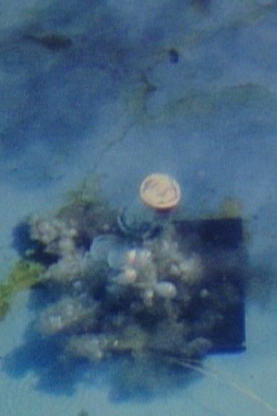 Poster do Filme Contained Under Water