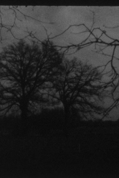 Poster do Filme Landscape as Landscape 16