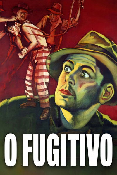 Poster do Filme O Fugitivo