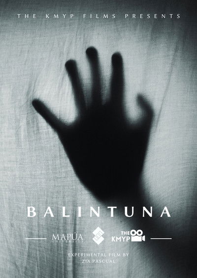 Poster do Filme Balintuna