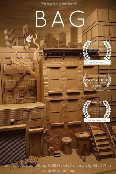 Poster do Filme Bag