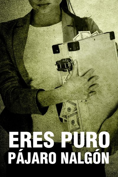 Eres puro pájaro nalgón