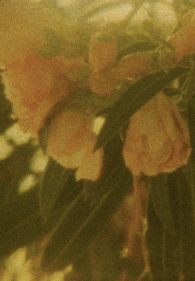 Poster do Filme Seasons/Patterns