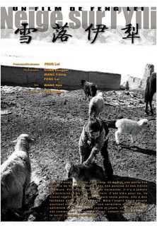 Poster do Filme 雪落伊犁