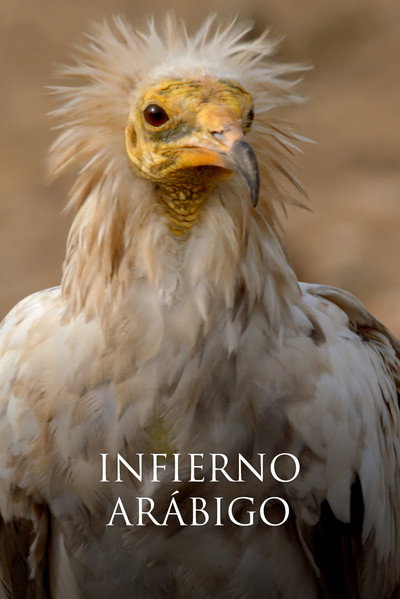 Infierno arábigo
