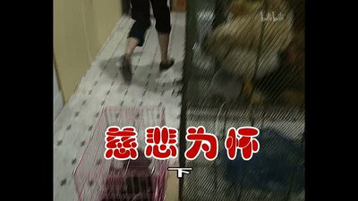 Episode 308