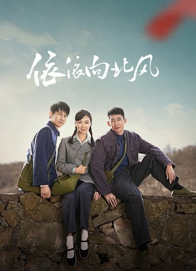 poster for 依依向北风