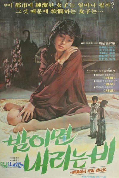 movie poster for The Rain at Night