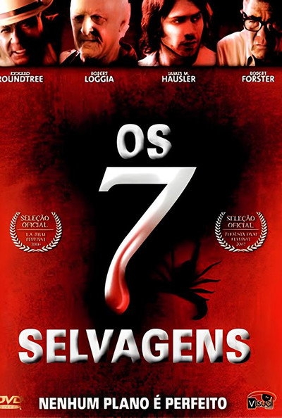Poster do Filme Os Sete Selvagens