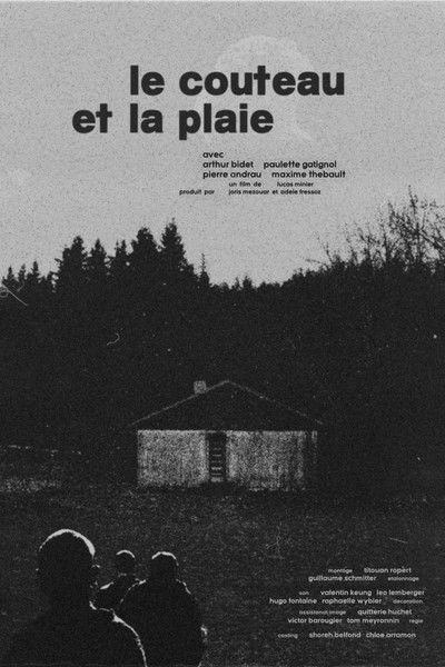 movie poster for Le Couteau et la Plaie