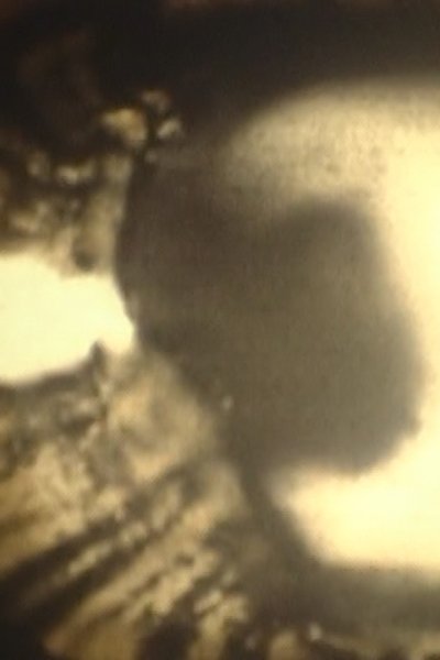 movie poster for BURN