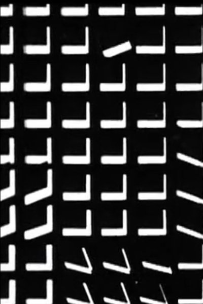 Poster do Filme Vasarely