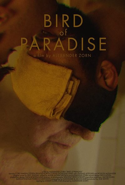 Watch Now!(2019) Bird of Paradise Full Movie Online